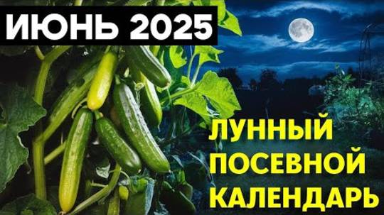 Когда САЖАТЬ и СЕЯТЬ в ИЮНЕ 2025?