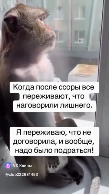 #психолог #конфликты #юмор