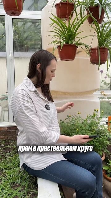 РОЗЫ после зимовки
