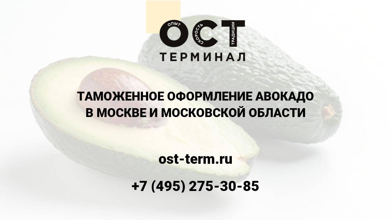 Растаможка авокадо