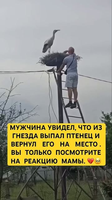 В этом мире много хороших людей Многие из них на моём канале❤️Они любят животных,людей,мир.🙏добро