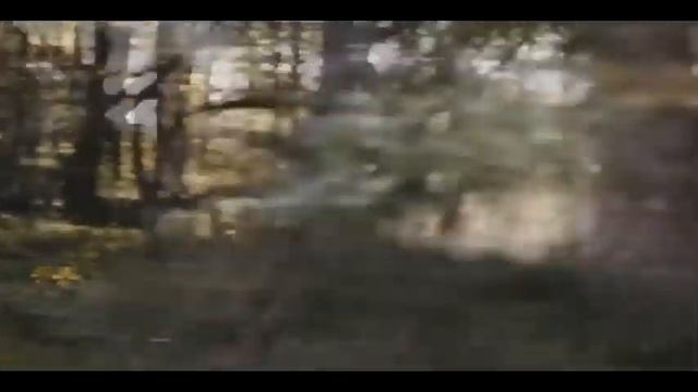 Не большая подборка смешного видео, приколы, шутки, стеб и веселые неудачи