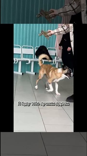 Счастливый билет