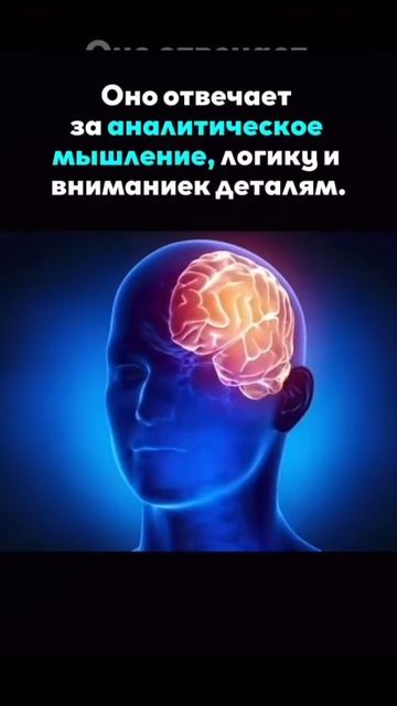 🌈Друзья, подписывайтесь!💥