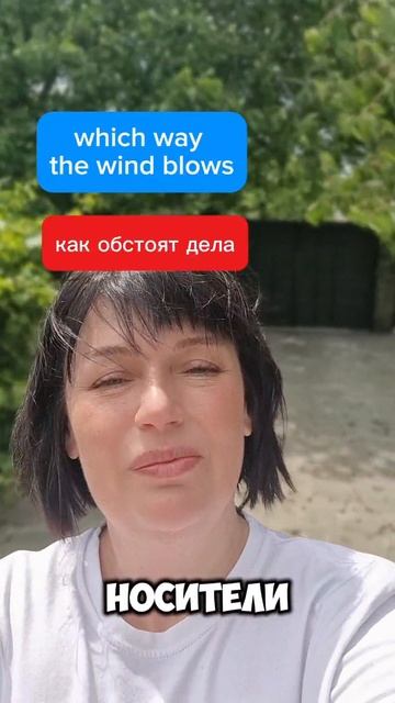 which way the wind blows - как обстоят дела