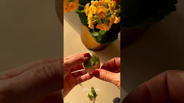 Подборка лайфхаков к пасхе с куличами и яйцами