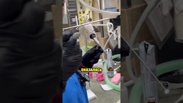 Опасный сезон покоса травы