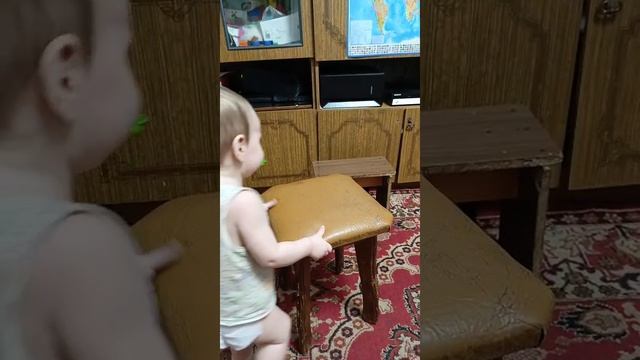 Чудесное спасение кошки🙂
