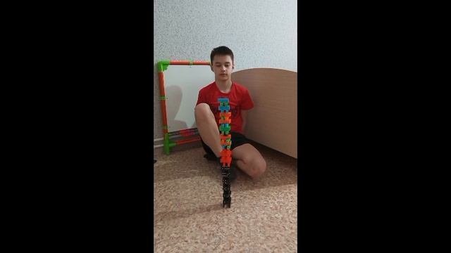 Дети и домашние животные.