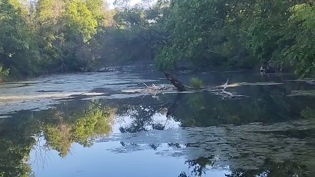 Будни егеря. Новое место для рыбалки 🎣.25.05.25.