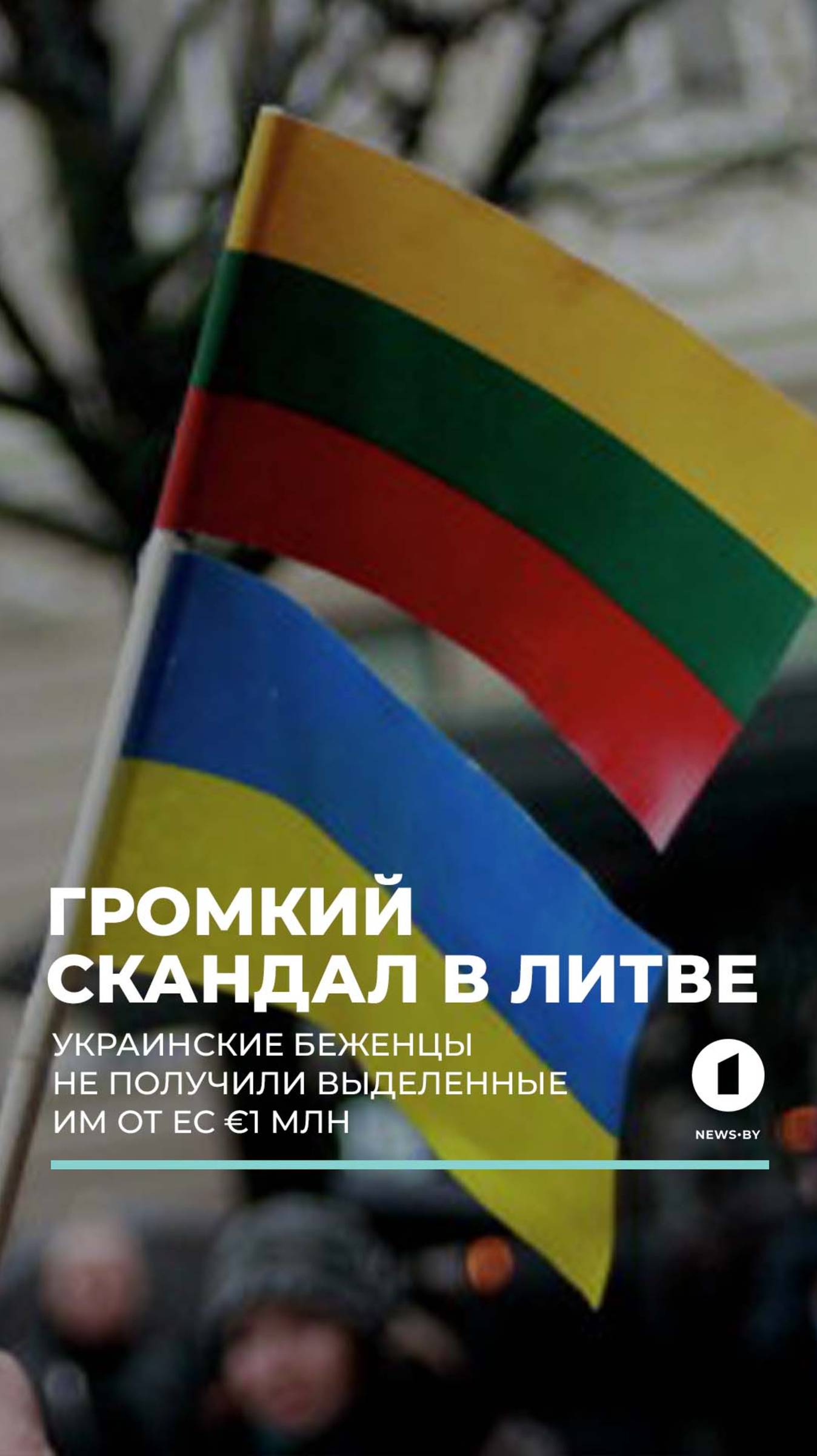 Громкий скандал в Литве. Украинские военные не получили выделенные им от ЕС €1 млн