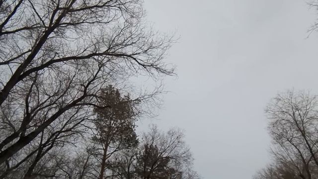 Квартиру с вами делить не стану, Наталья Николаевна! - ?