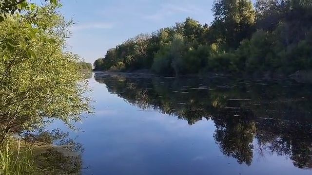 Будни егеря.Если не клюёт то ни где не клюёт 🤷.29.05.25.