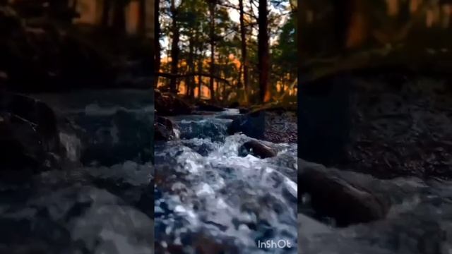 Медитация "Прощение себя"