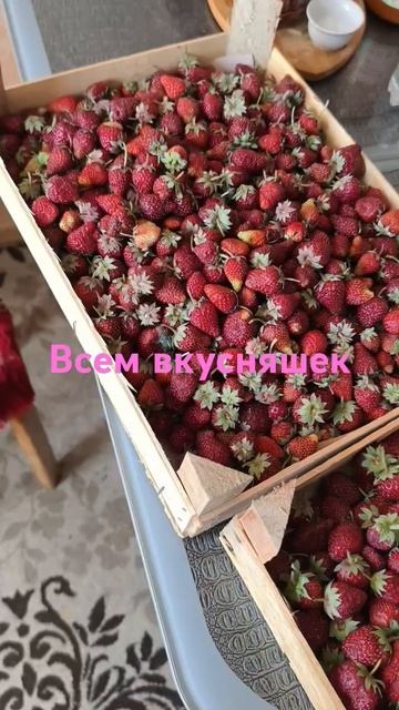 Ягода-малинка оп оп оп.#ягодамалина #музыка
