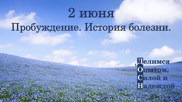 2 июня. Пробуждение. История болезни.