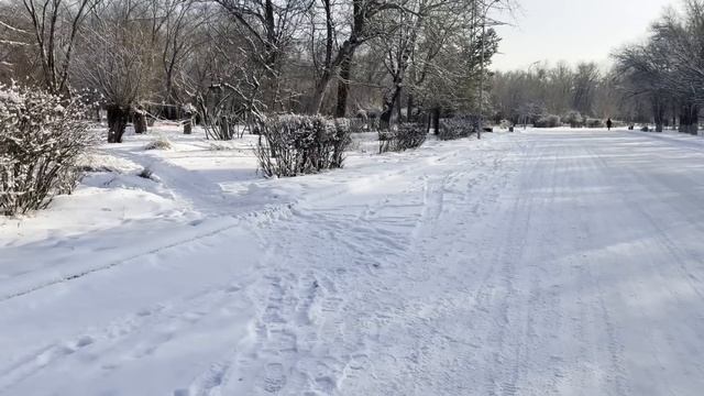 Свою квартиру отдала дочери, а ко мне свекровь перееха