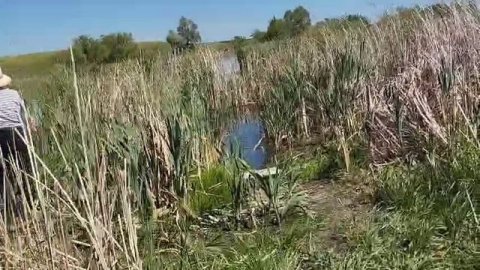 Будни егеря. Рыбалка 🎣 в Мордовской Селидьбе.28.05.25.