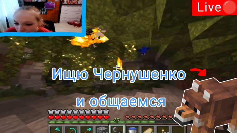 Ищю Чёрнушенко и общаемся