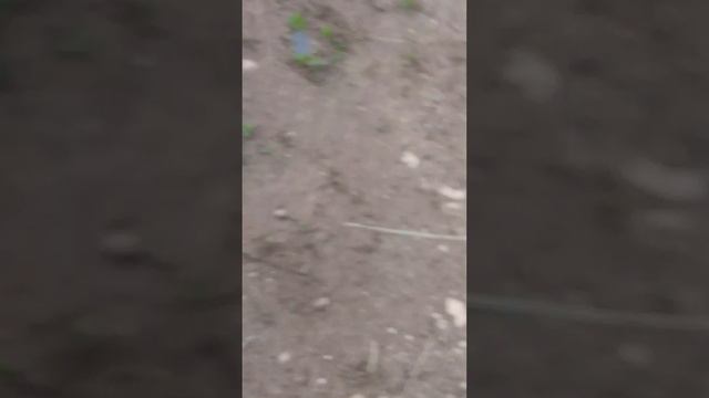 два дебила это сила к на пристали а мы поржари🤣до конца ржака