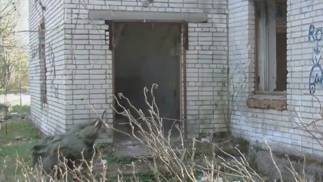 Пробиваемость укрытий. Tactic PRO SPB