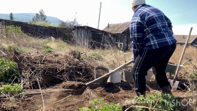 Огородные работы при сильном ветре// Массовая резня в сибири
