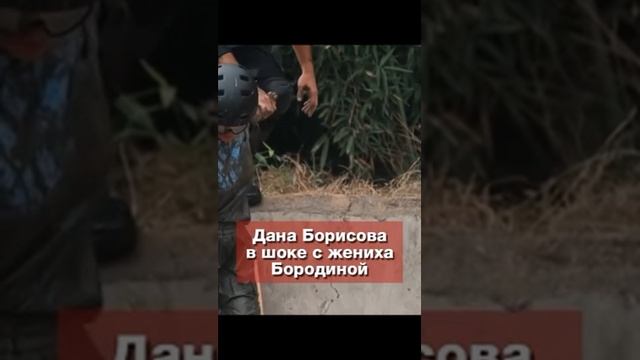 Борисова Сердюков Бородина