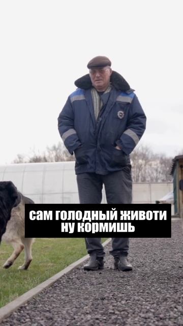 А как бы вы поступили?  #зек #историиизжизни #зэк