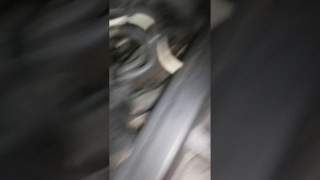 VID_20241019_173943.mp4