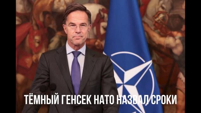 Светлый из НАТО назвал сроки