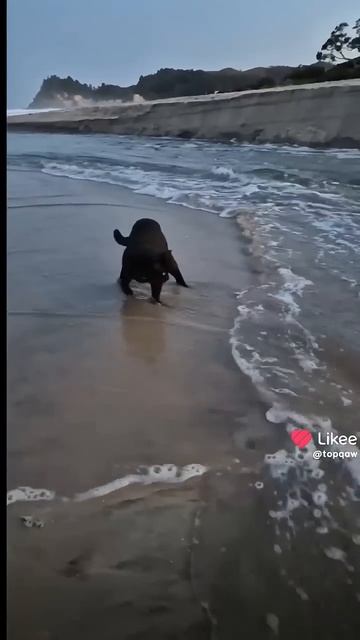 Меня это удивило