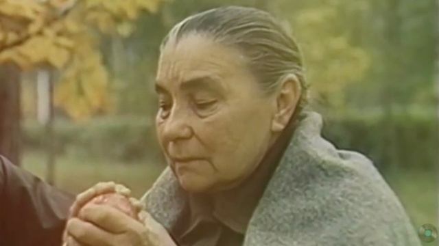 Душевная песня Прости меня