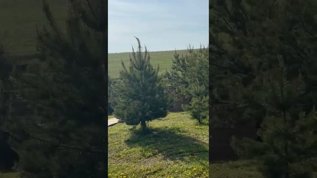 1000026823.mp4