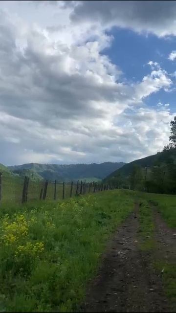 Продаю участок 2000 га, в Горной Колывани