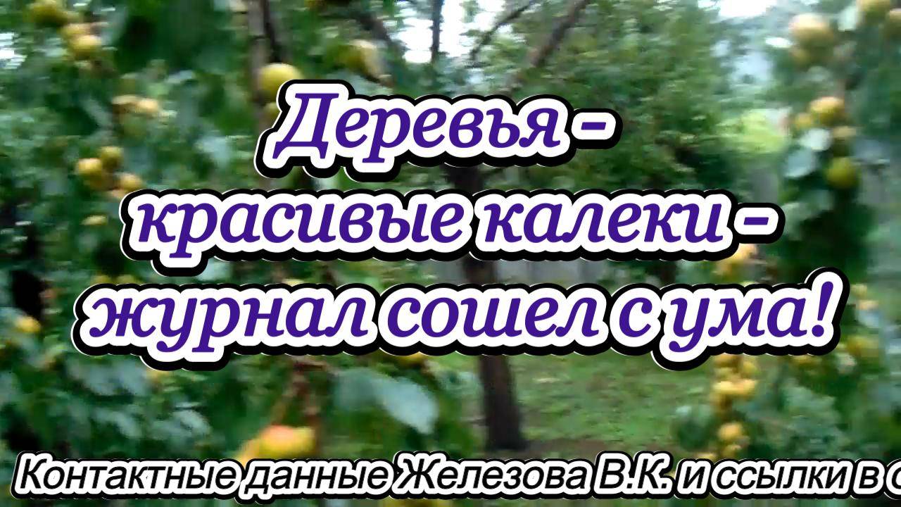 Деревья - красивые калеки - журнал сошел с ума!