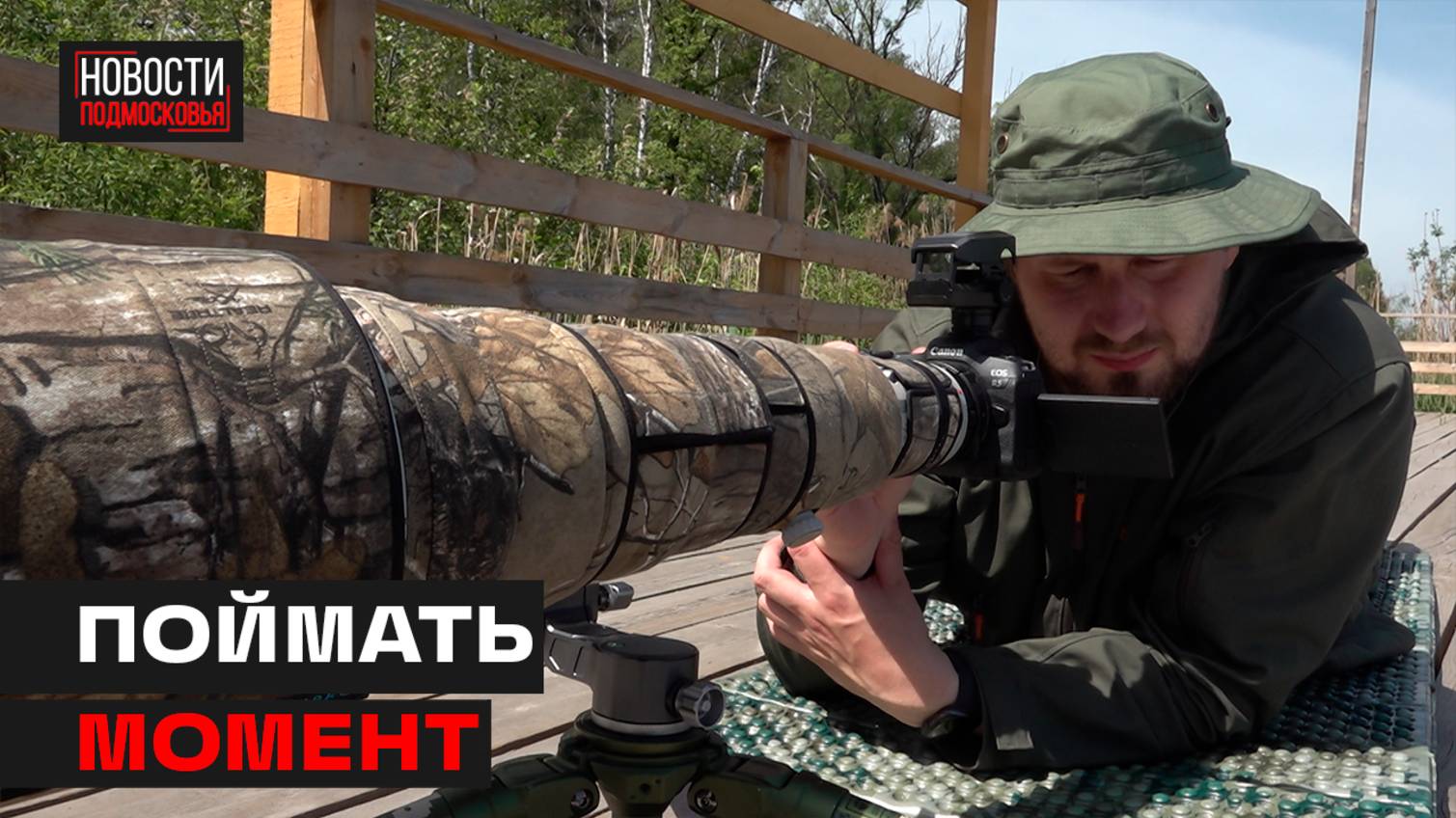 Фотоохота за идеальным кадром на Лосином острове