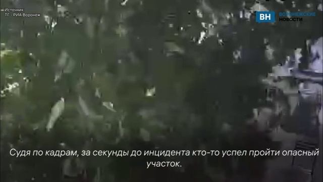На камеры видеонаблюдения попал момент падения дерева на веранду кафе