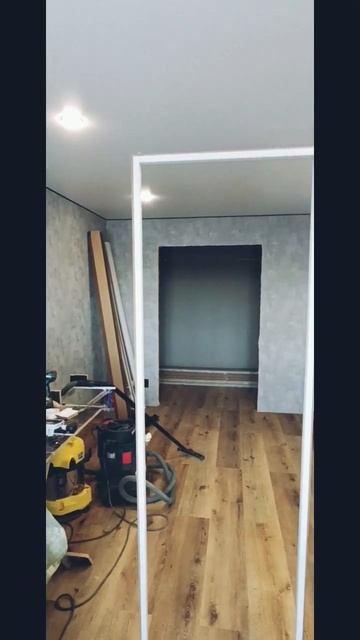 invisible assistant                  Невидимый помощник. #doors #магнитог?