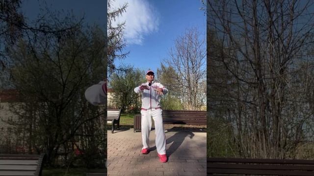 Ицюань (1387 день) Фубао Чжуан / Цепи Шили (Фали) / Моцабу / Тазобедренные суставы  (29.05.25)