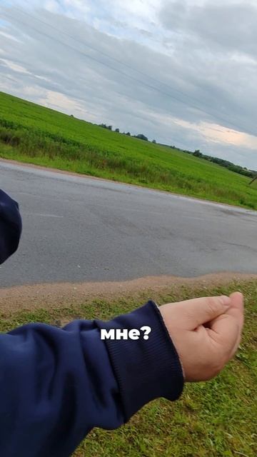 Магний