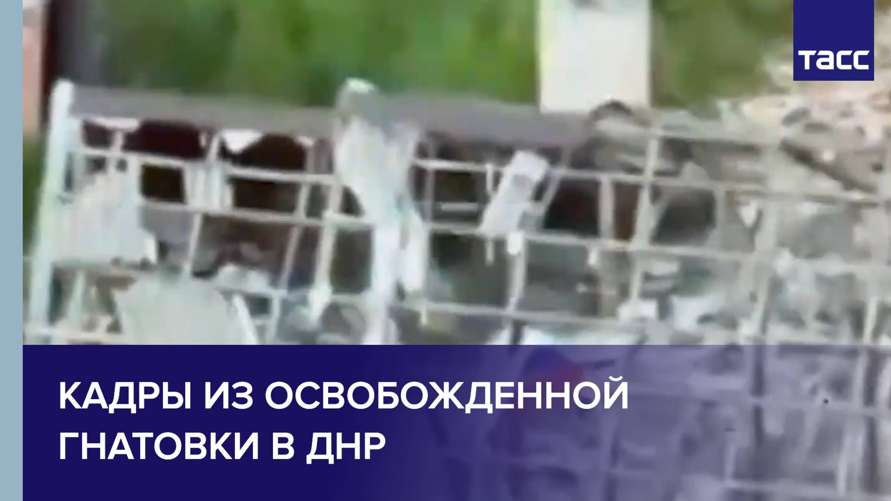 Кадры из освобожденной Гнатовки в ДНР