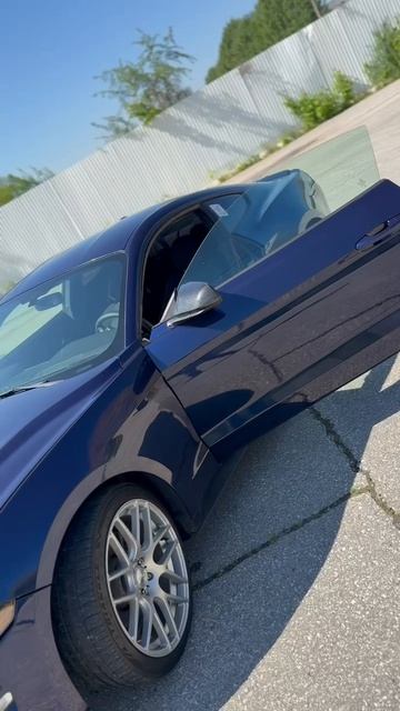 Ford mustang 6