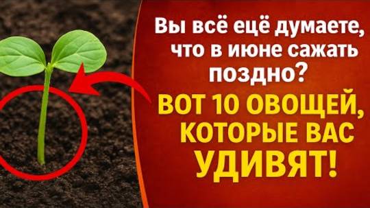 Вы всё ещё думаете, что в июне сажать поздно? Вот 10 овощей, которые вас удивят!