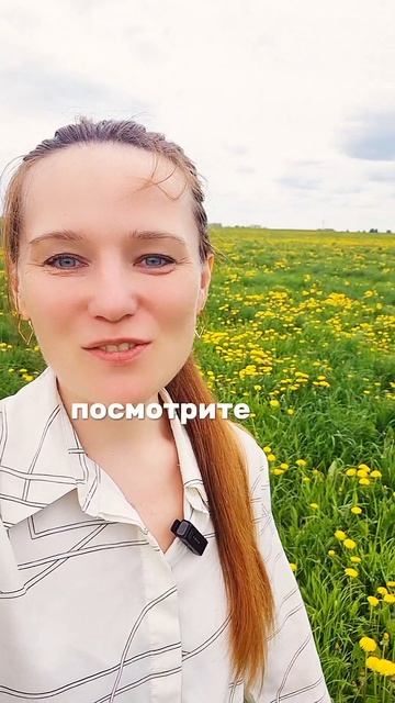 О прелестях загородного риэлтора