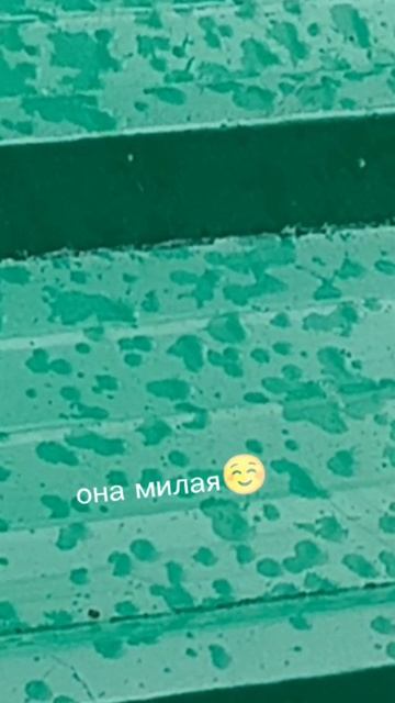 Есть красивая...Дождь ☔ прошёл 🌧️ на улице жара 🔥+24 ура лето 🥳 жарище 🥵
