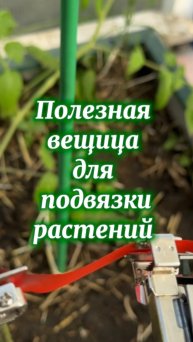 Полезная вещица для подвязки