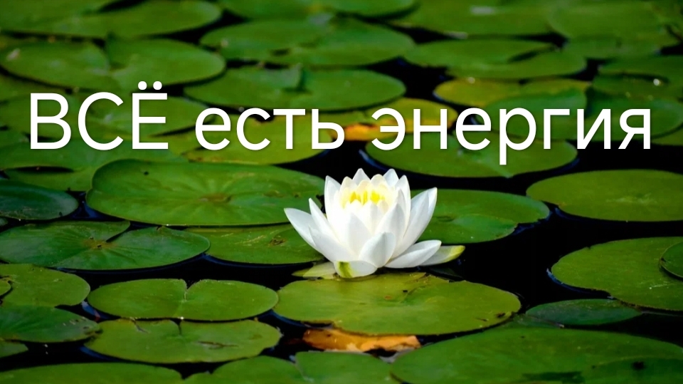Всё есть энергия. Как мы считываем информацию. Восприятие мира.