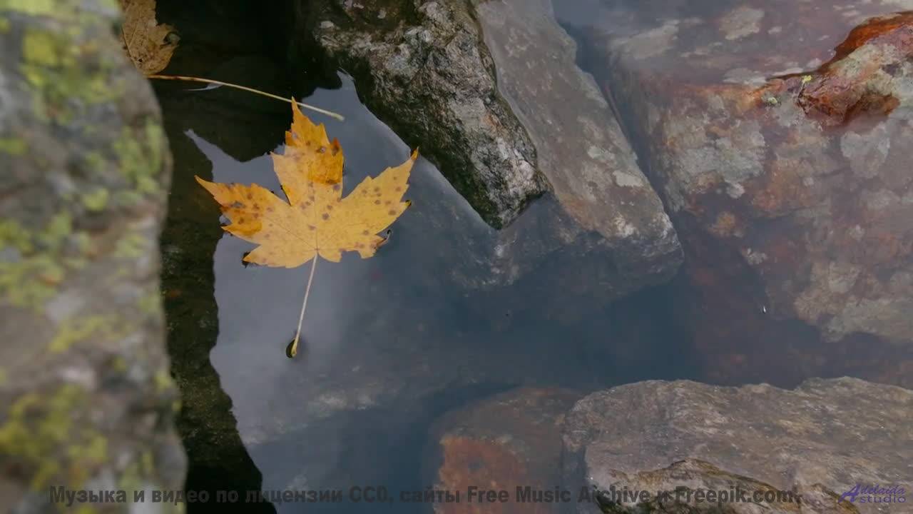 Это видео - как утро, полное надежд и красивой музыки! - Im Aware of You -- Julia Felix -- Unnamed a