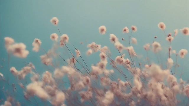 МЕДИТАЦИЯ. ПРОЩЕНИЕ СЕБЯ. ИСЦЕЛЕНИЕ.