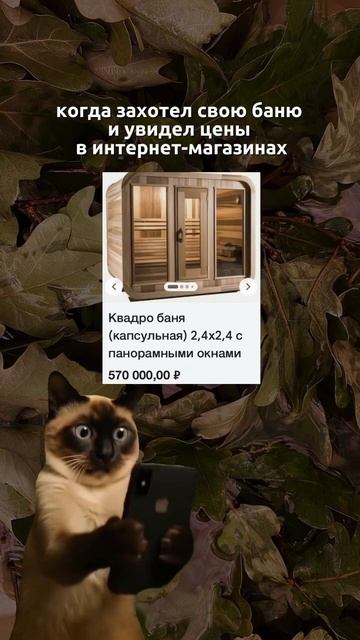 Своя баня на даче  #shibargan #банякупить #юмор